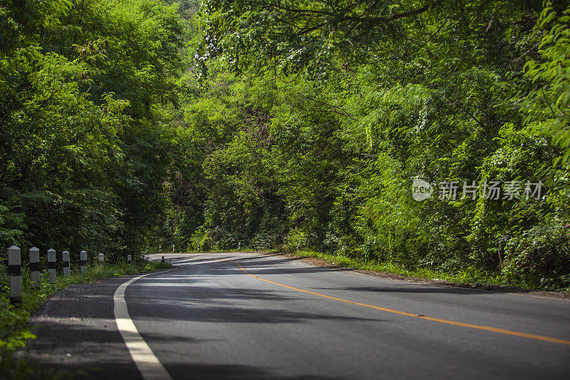 泰国Khao Yai国家公园的景观道路